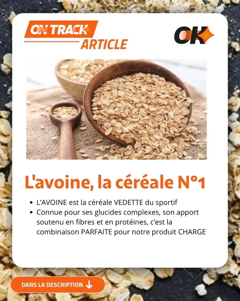 avoine on track.webp